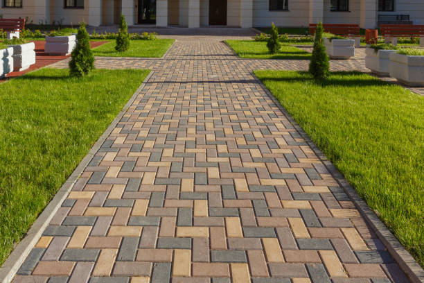 Best Best Driveway Pavers  in Oak Grove Heights, AR